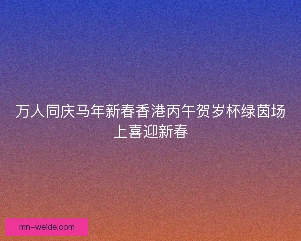 万人同庆马年新春香港丙午贺岁杯绿茵场上喜迎新春 万人同庆马年新春香港丙午贺岁杯绿茵场上喜迎新春