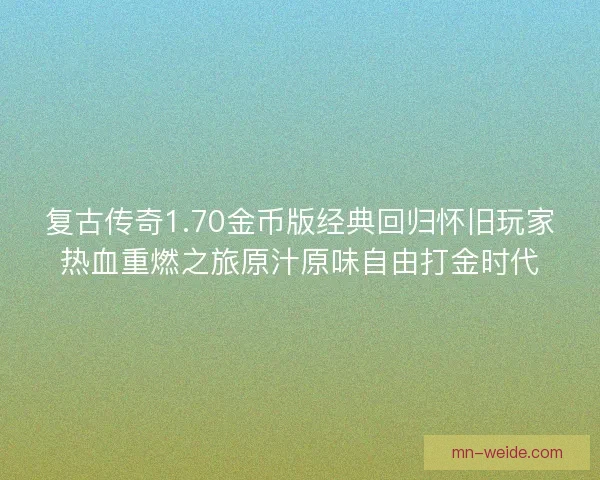 复古传奇1.70金币版经典回归怀旧玩家热血重燃之旅原汁原味自由打金时代