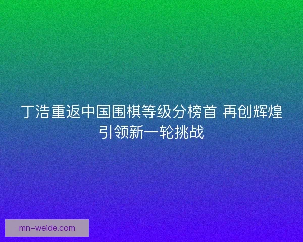 丁浩重返中国围棋等级分榜首 再创辉煌引领新一轮挑战 丁浩重返中国围棋等级分榜首 再创辉煌引领新一轮挑战